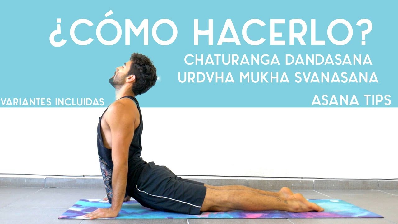 Chaturanga y Urdhva Mukha Svanasana | Asana Tips | Yoga con Baruc