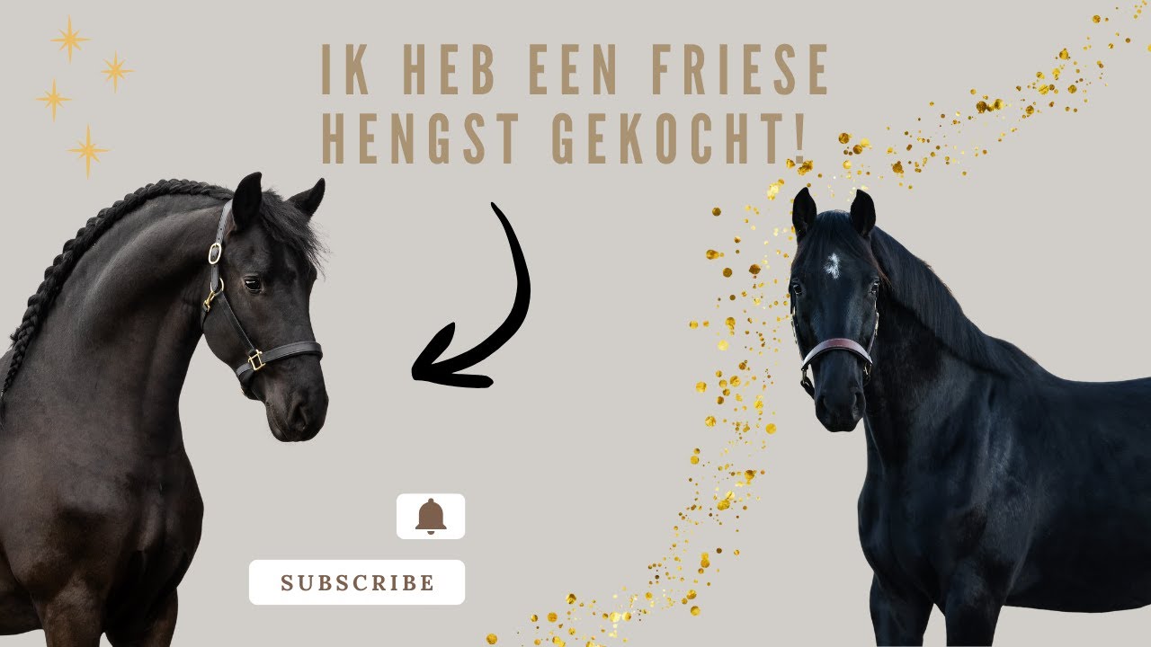 Terug op YOUTUBE!? Ti Sento is THUIS & FRIES gekocht!? |Purarazadivino