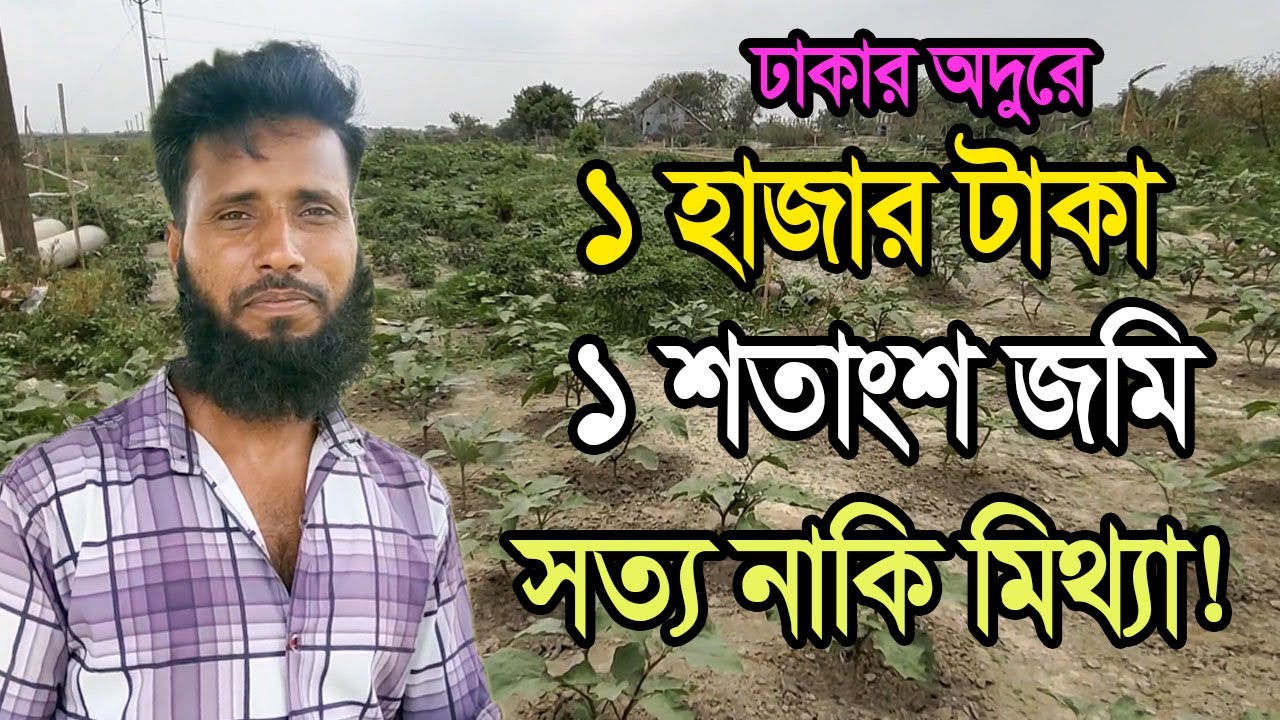 ১ হাজার টাকায় ১ শতাংশ জমি ।  নন্দলালপুর চর ।  Char Nondolalpur ।  Betna Agro
