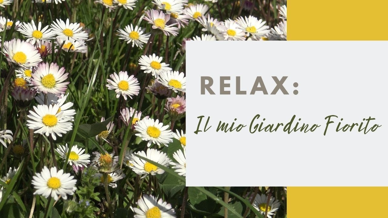 ASMR*RELAX*I SUONI DELLA NATURA* IL MIO GIARDINO FIORITO*