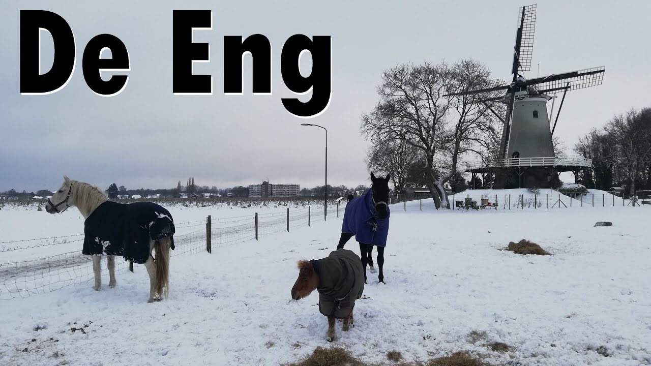SOEST | The Soester Eng (De Eng) covered in snow @ Soest (2026)