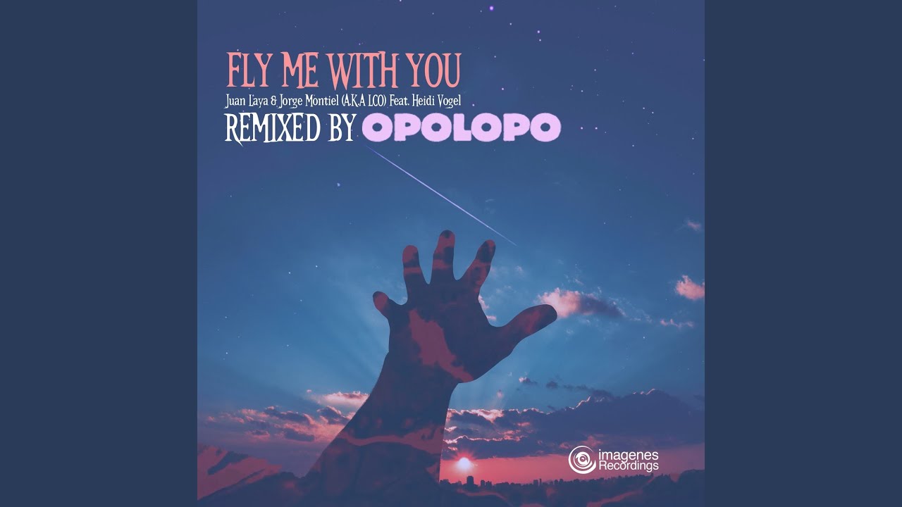 Fly Me with You (Opolopo Remix) (feat. Heidi Vogel)
