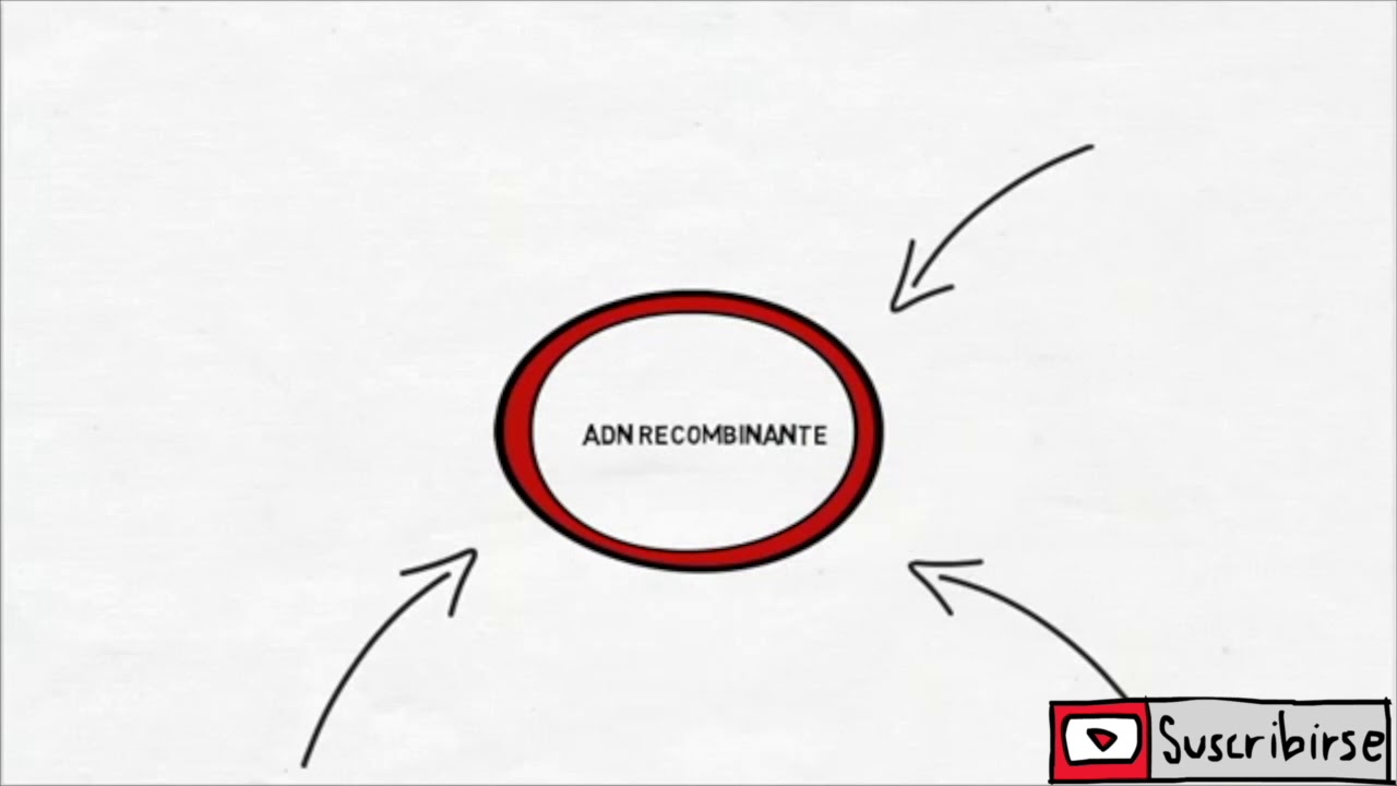 Clonaci&oacute;n del ADN