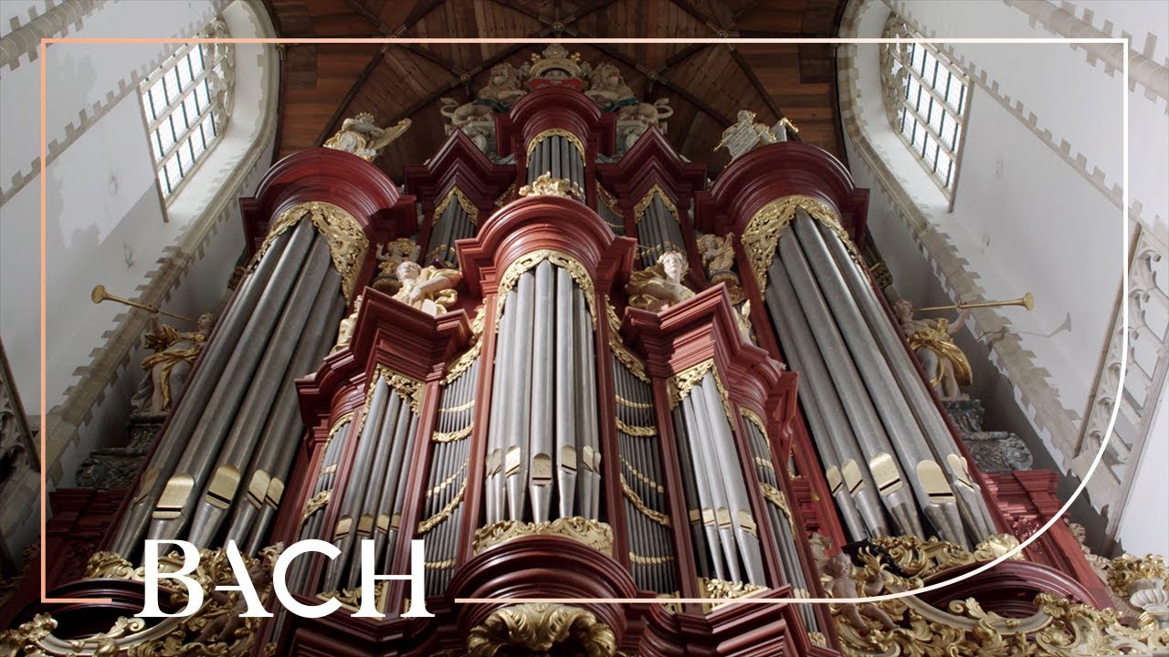 Bach - Erschienen ist der herrliche Tag BWV 629 - Jacobs | Netherlands Bach Society