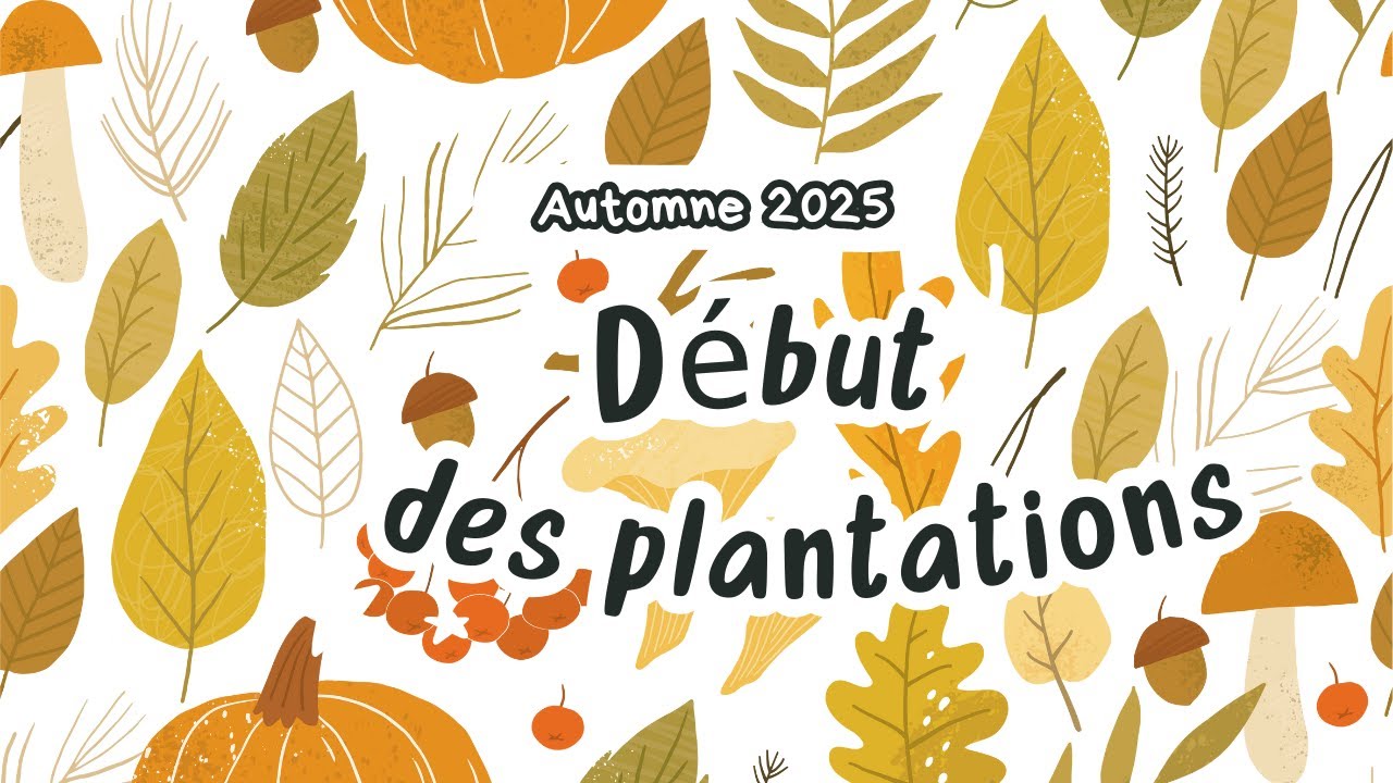 Je débute mes plantations d'automne
