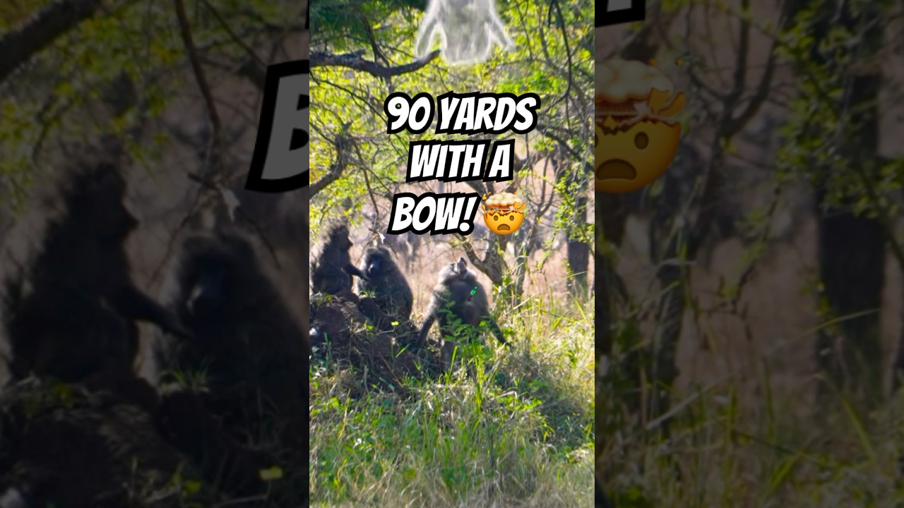 Greatest Archery Shot Of All Time!?😳🤯 #archery #bowandarrow #accurate #crazy #wild