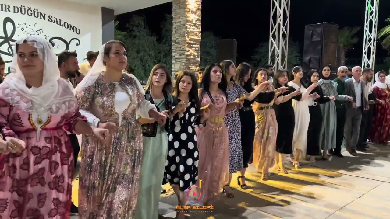 Mevan Budak Görkemli Düğünü Zedigi Aşireti Part 1 | Musa Silopi