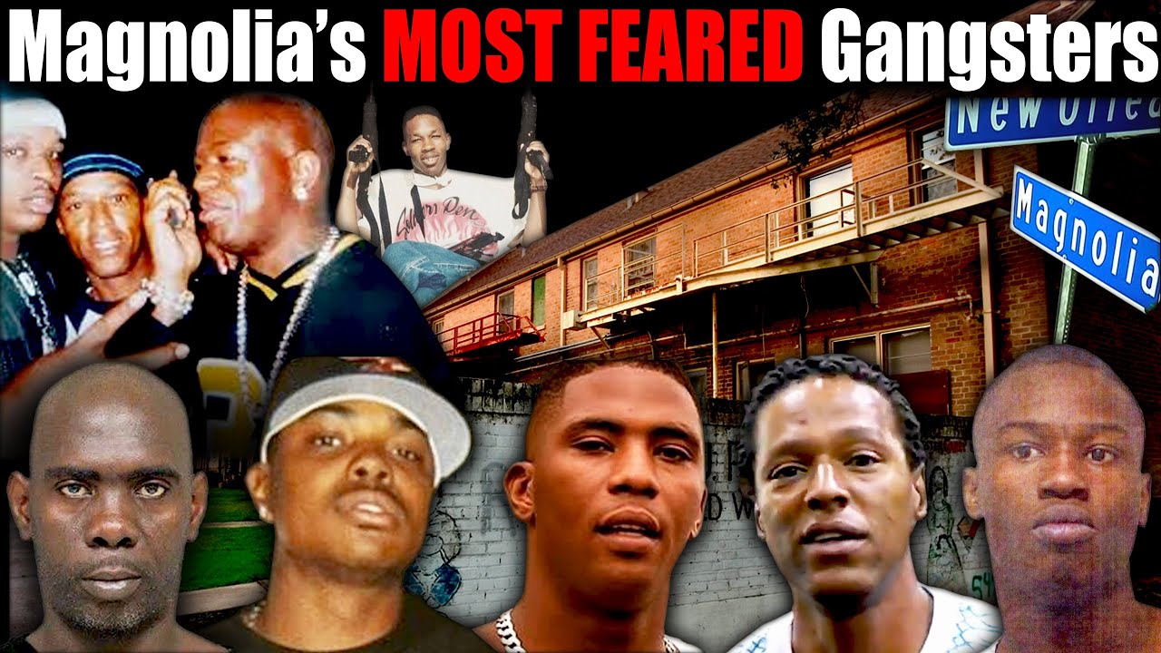Why the MAGNOLIA was so Feared, Logga Black, Jarnell, B Stupid, Steppa, Killa Stone & Gangsta