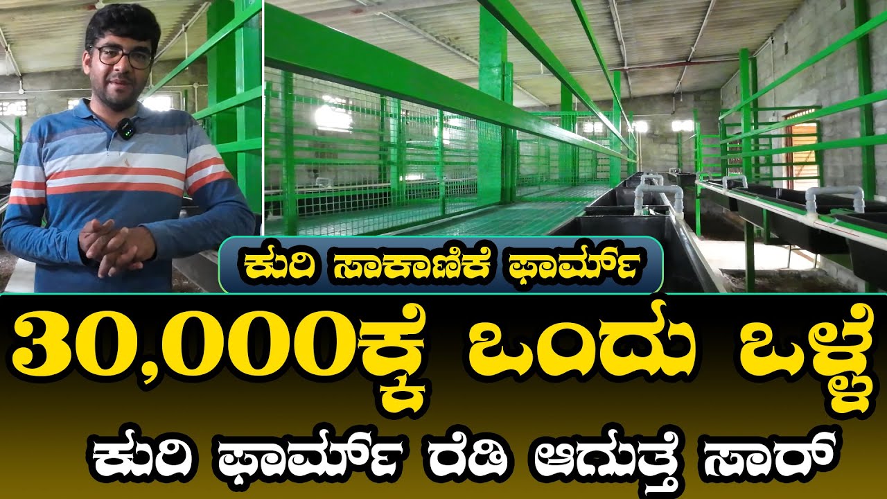 30,000ಕ್ಕೆ ಒಂದು ಒಳ್ಳೆ ಕುರಿ ಫಾರ್ಮ್‌ ರೆಡಿ ಮಾಡಿಕೊಡ್ತೀವಿ | sheep shed | sheep shelter