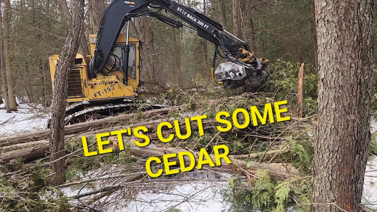 FABTEK 153 IN THE WOODS