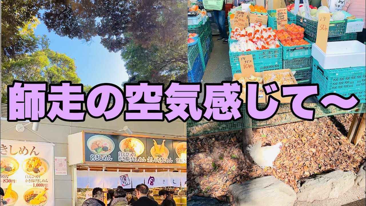 【vlog】大好きな師走の空気を感じながらお正月のお買物梯子！