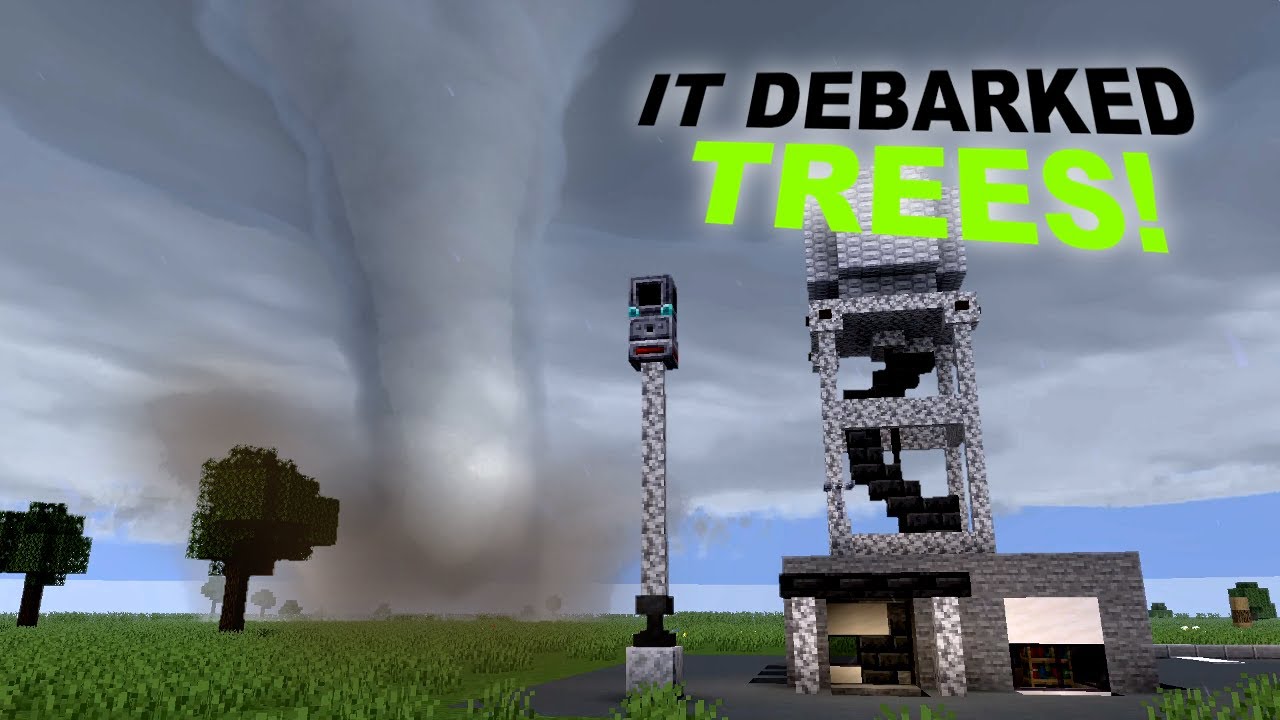 IT Debarked my Trees! | ProtoManly's Weather