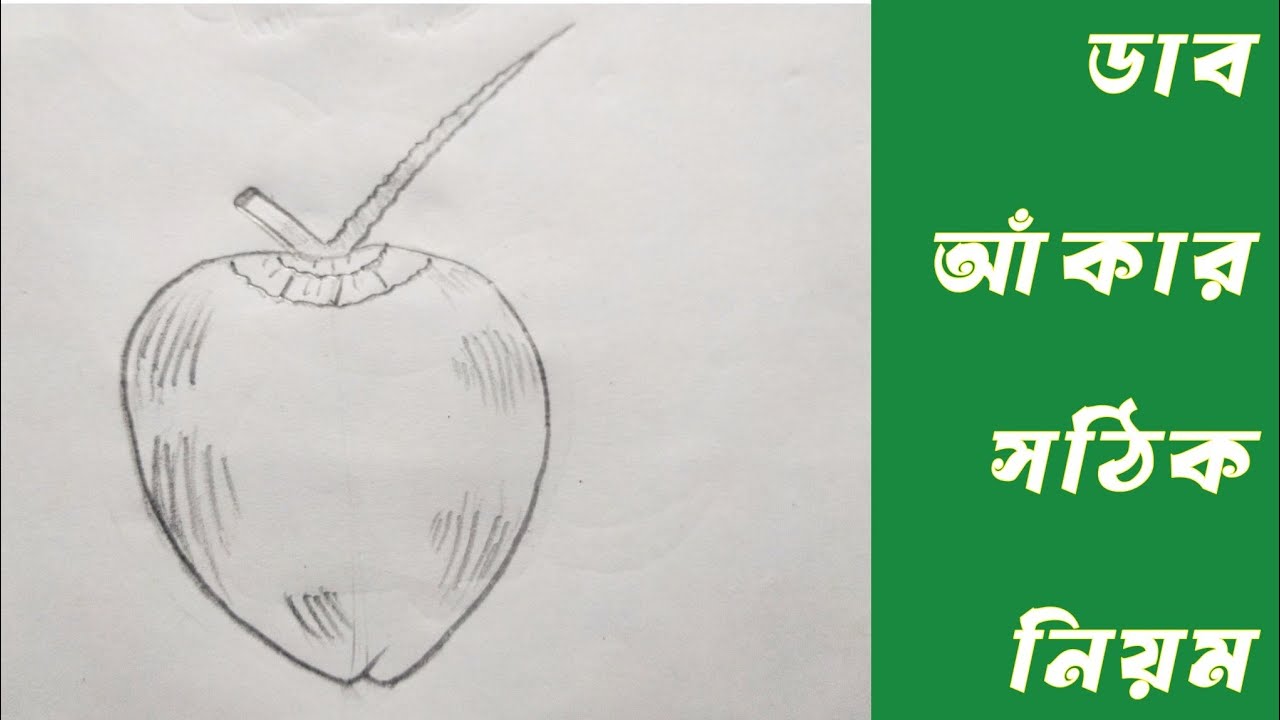 How to draw a Green Coconut | ডাব আঁকার সঠিক নিয়ম | Art in lines