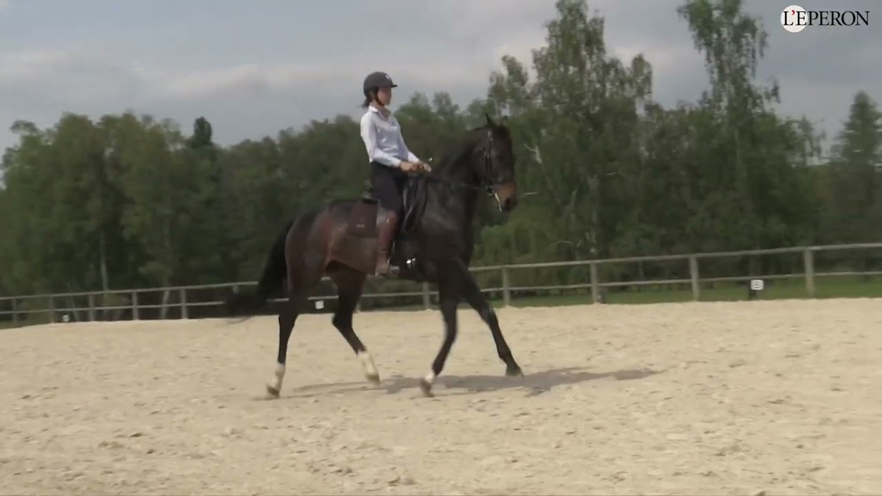 En pratique avec Caroline Godin #3 | Conserver la motivation