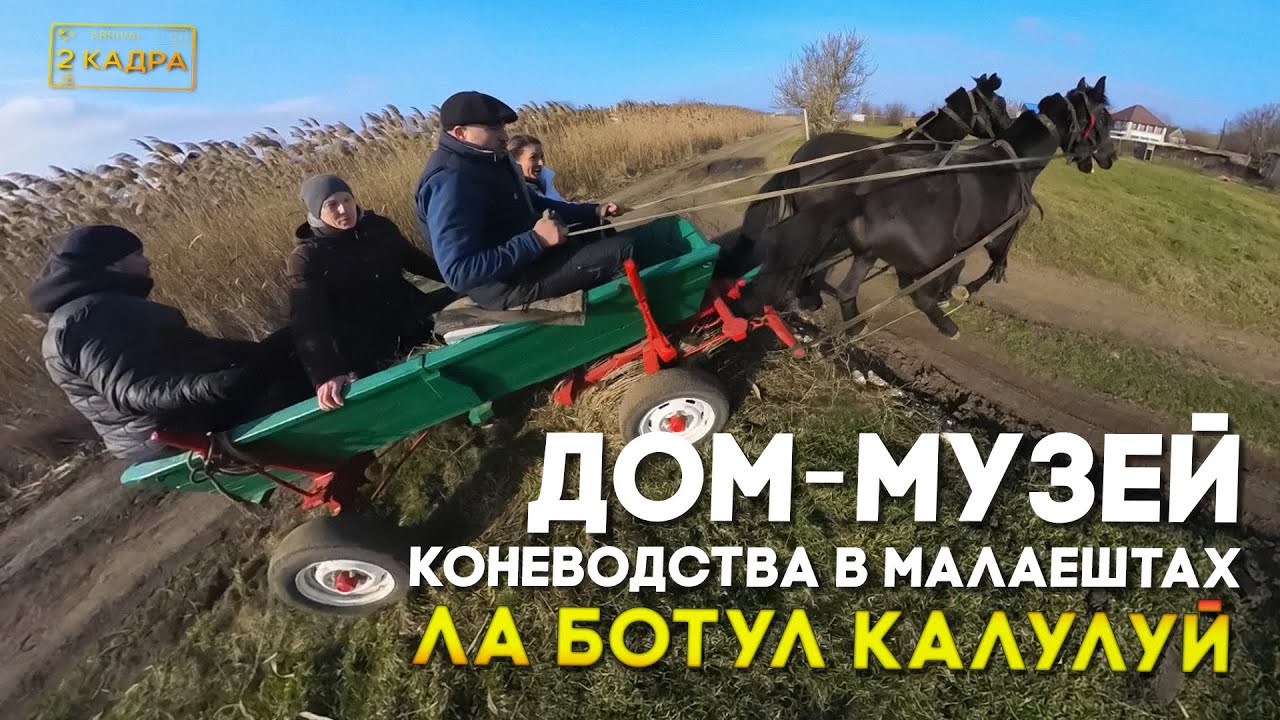 Дом-музей коневодства в Малаештах. Ла ботул калулуй. 2 кадра 13.02.2025