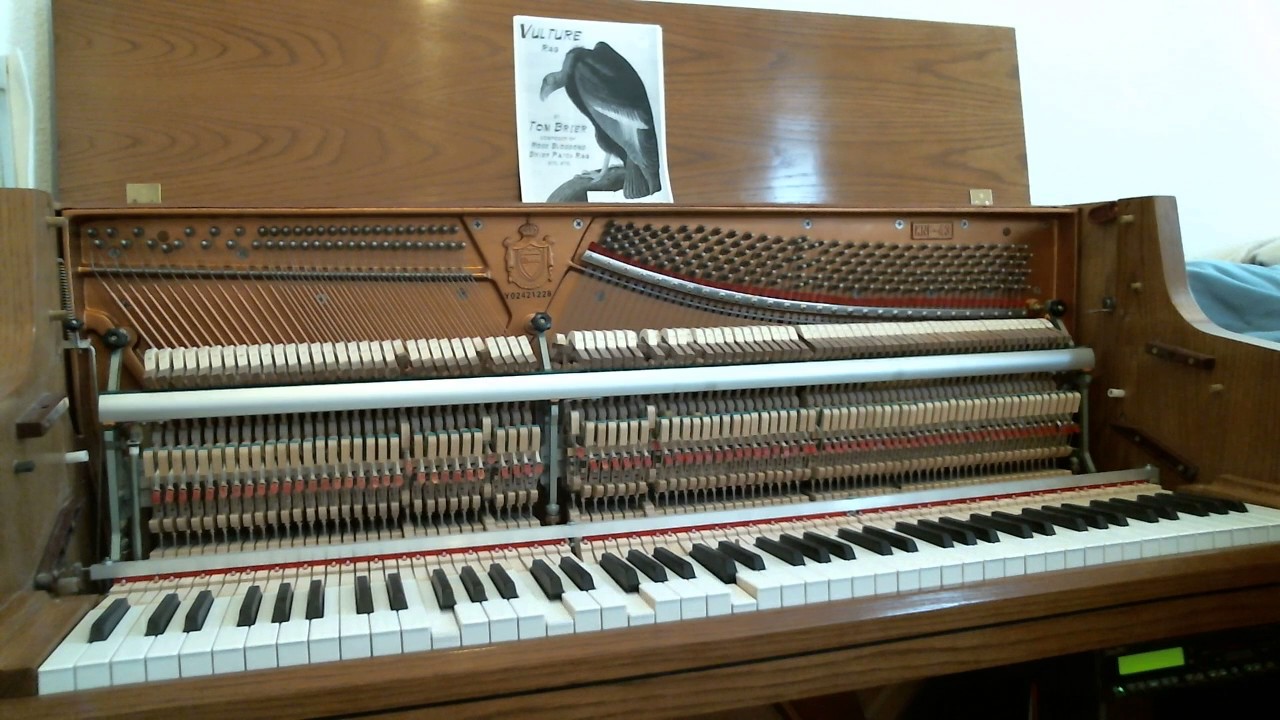The Vulture Rag, by Tom Brier (1994)
