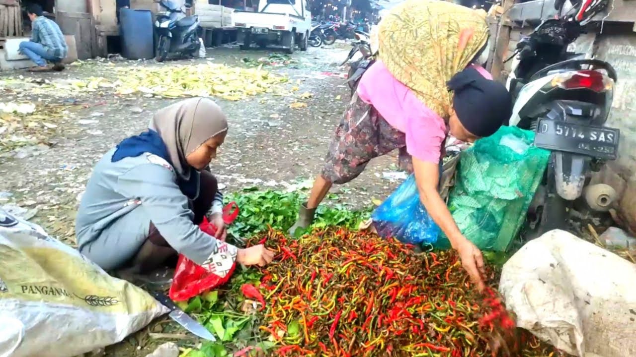 Mulung kali ini milihin 1karung cabe kriting sama ibu ini