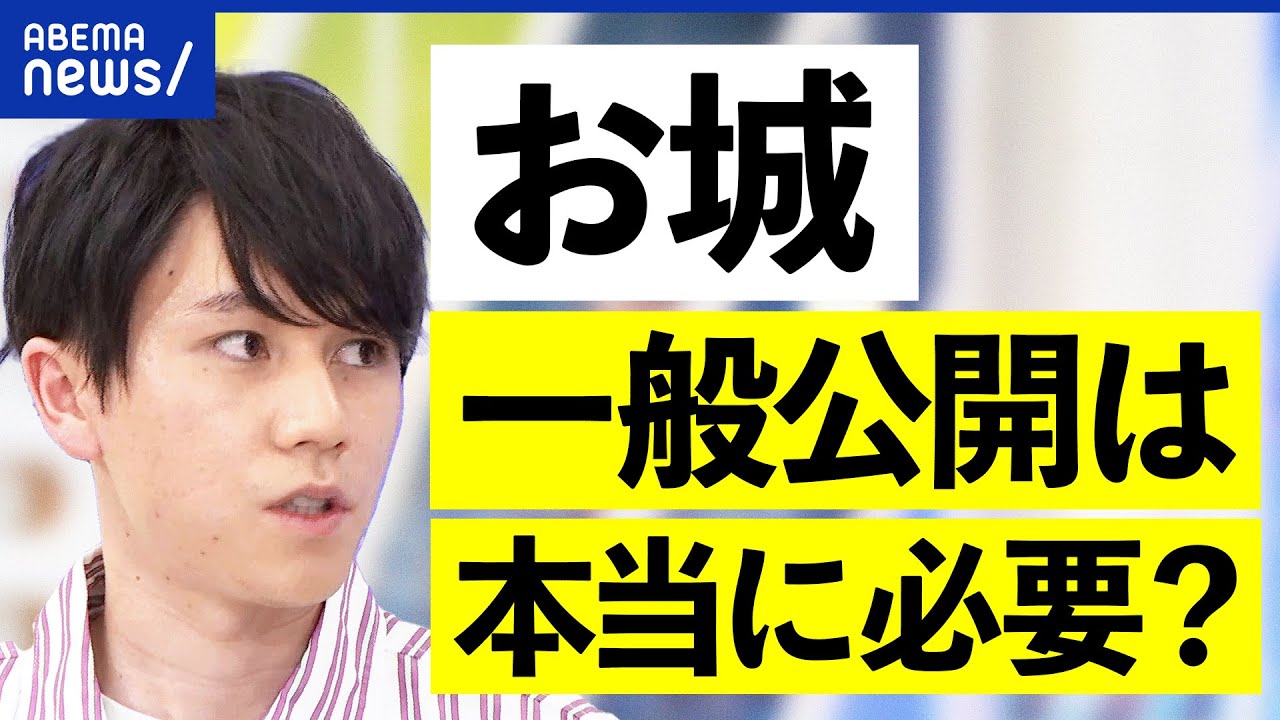 【名古屋城】歴史的建造物にバリアフリーは必要？復元はどこまで史実に？車いすユーザーと考える｜アベプラ
