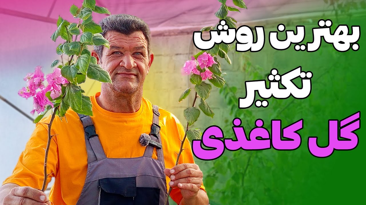 دیگه به راحتی خودت میتونی گل کاغذی تکثیر کنی و به دیگران هم هدیه بدی