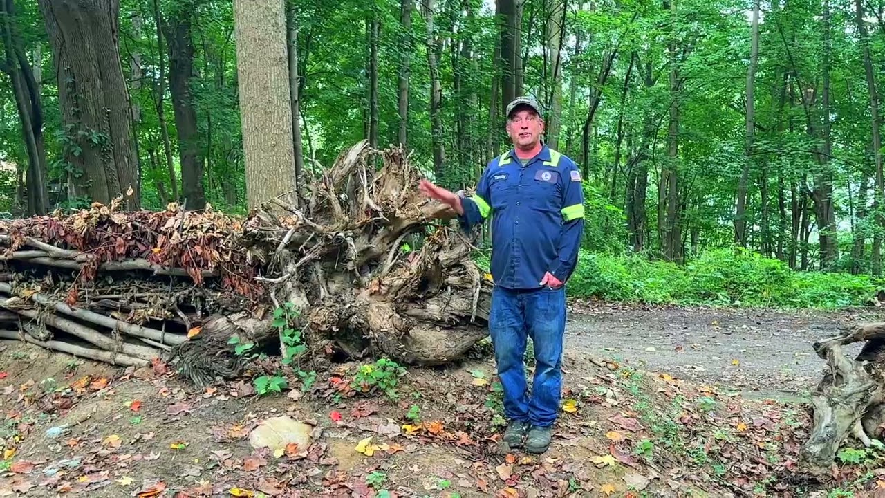 The Stumpery With Timothy Tilghman