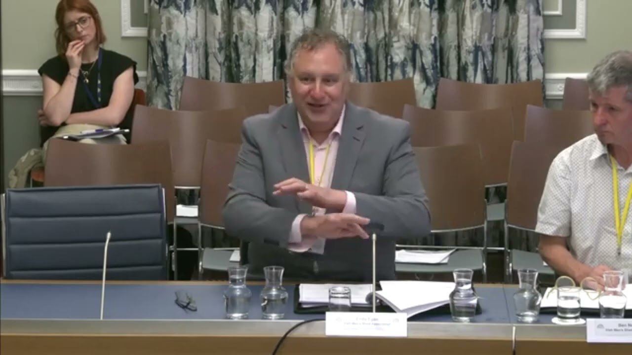 IMSA at the NI Assembly Communities Committee July 025