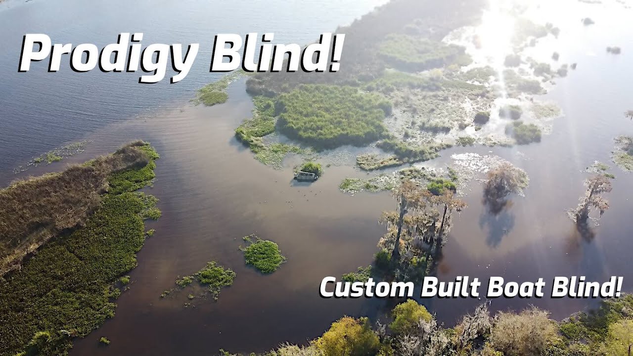 Building A Custom Blind For My 2020 Prodigy