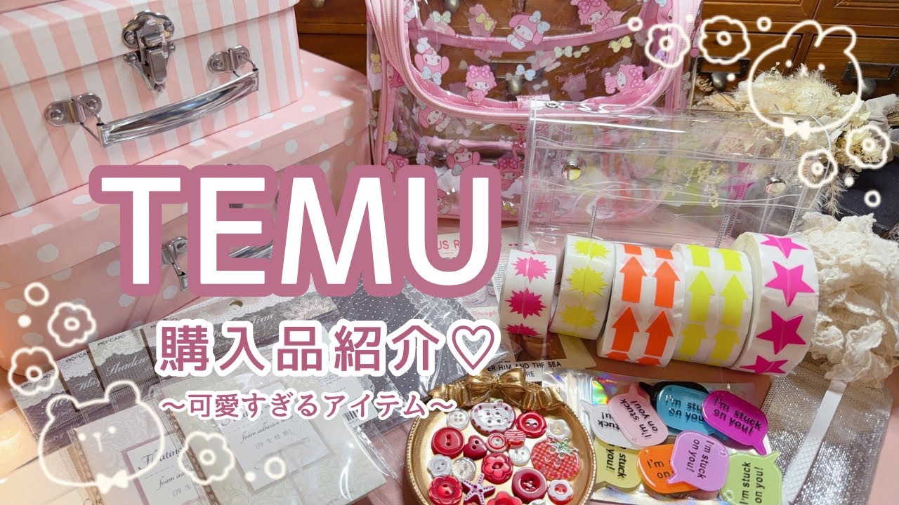【購入品紹介】 TEMUで買ったお勧め商品♫ | 収納 手帳 デコに使える素材まで
