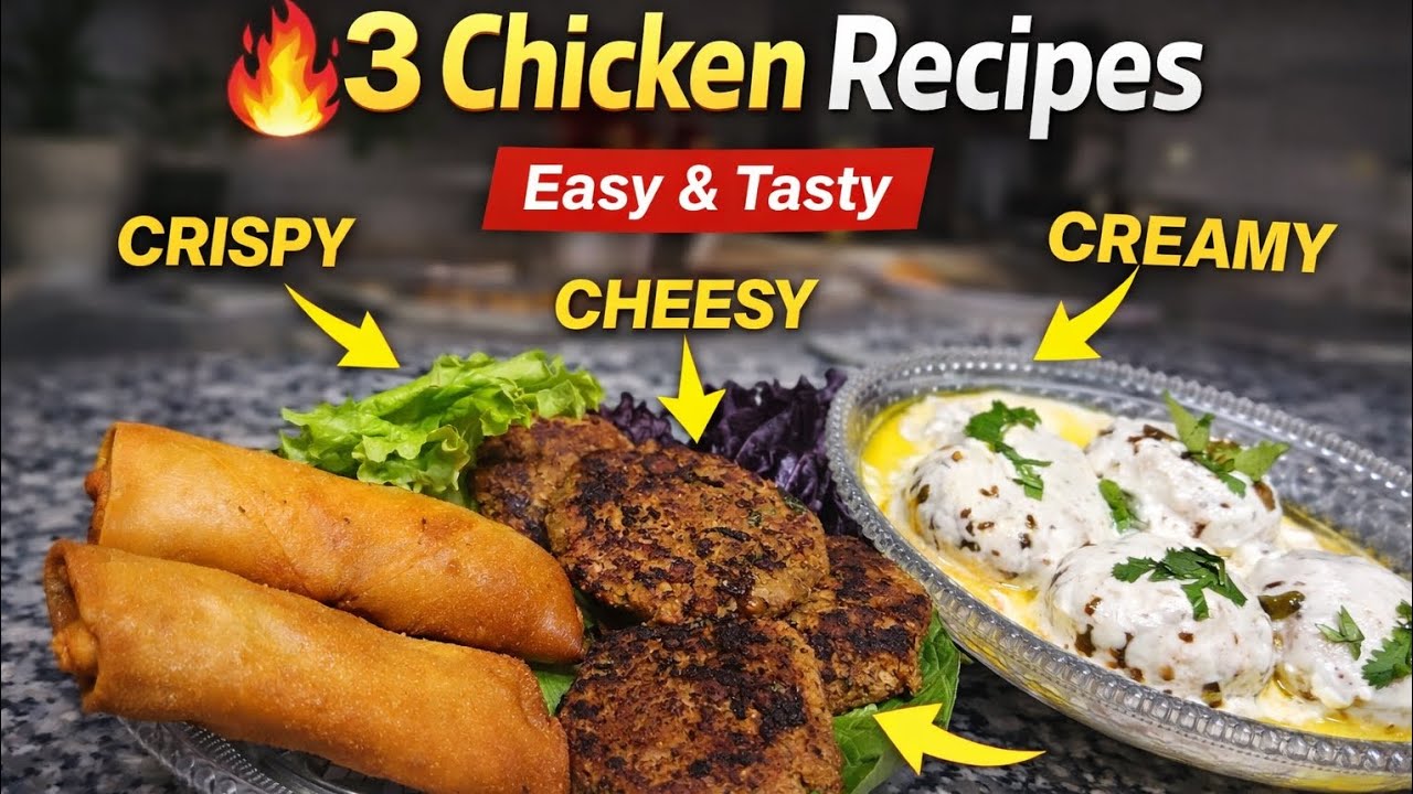 3 Delicious Chicken Recipes | Shami Kabab, Kabab Spring Rolls & Dahi Tadka Kabab