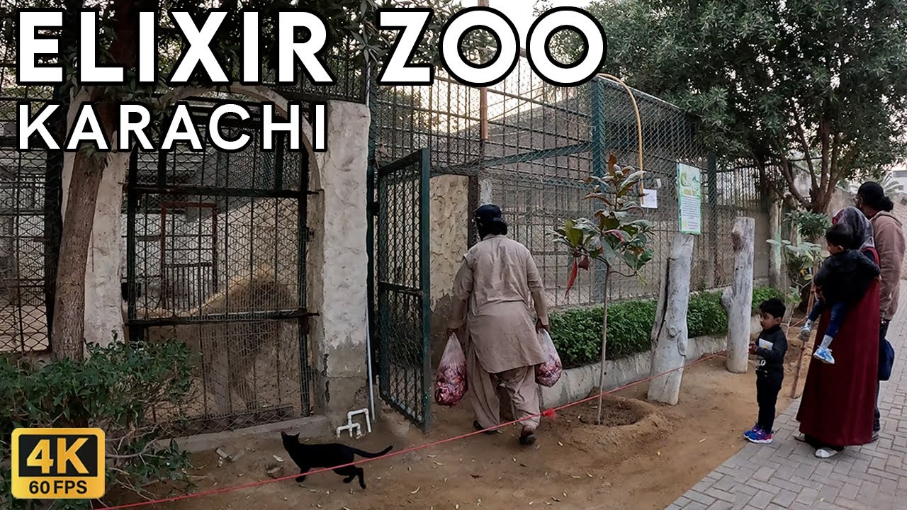 Elixir Zoo Karachi - Walking Tourist 4K