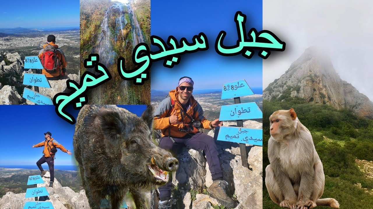 جبل سيدي تميم 😲 تطوان السهل الممتنع، موطن قردة المكاك الخنازير البرية. Jbel Sidi Tmim Tetouan