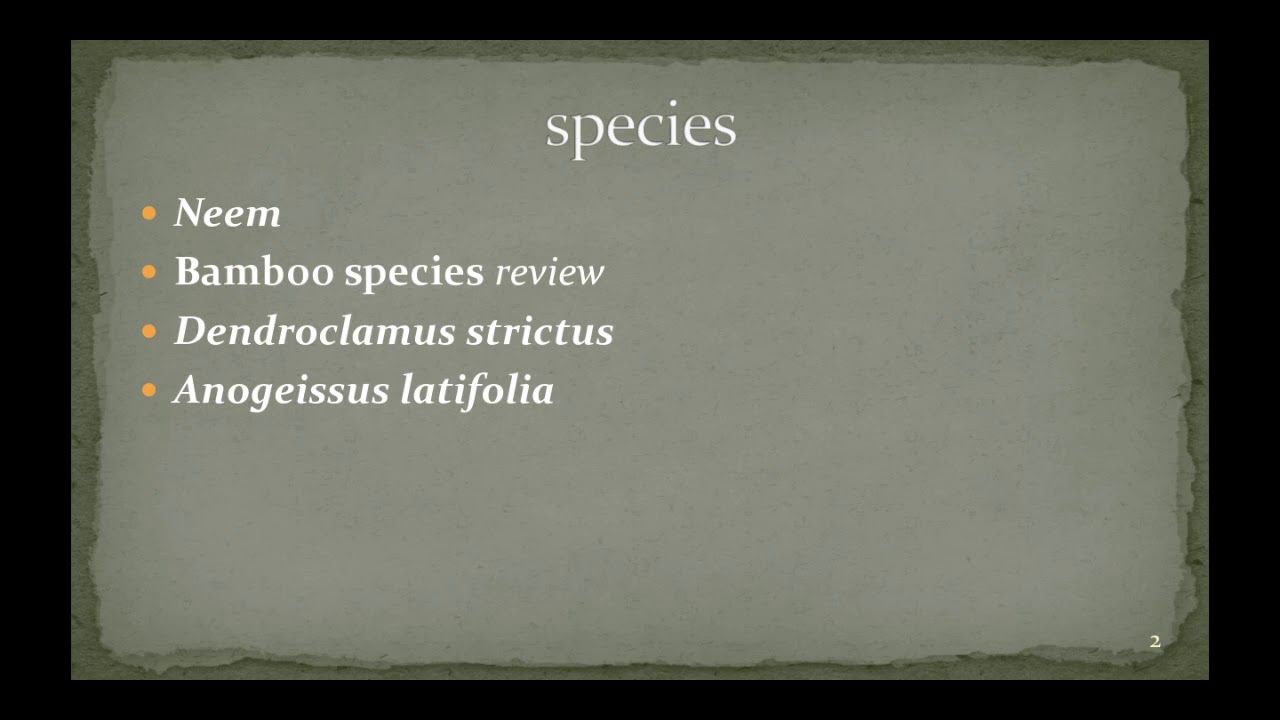 25. IFoS-2019  |  Silviculture of Indian tree species - Lecture 5 - Neem & Bamboo