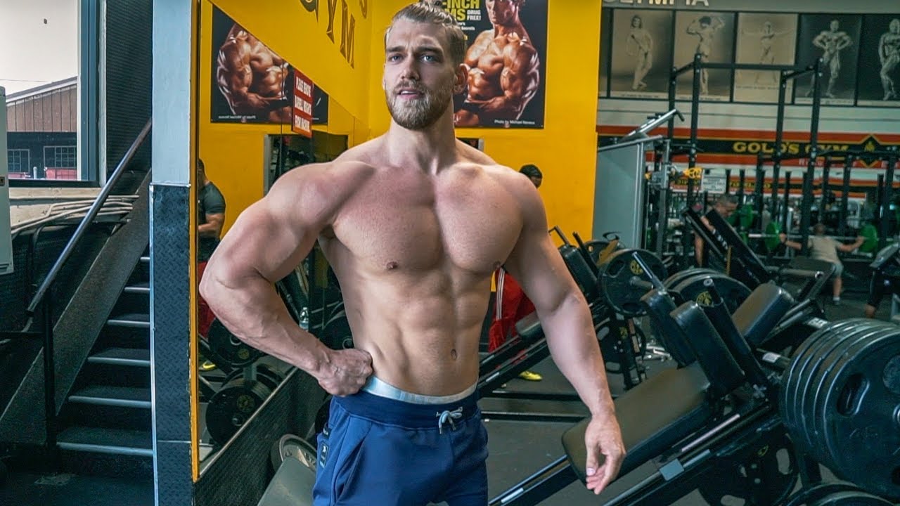 MISCHA GOES PHYSIQUE? | TRAINING & FORMCHECK