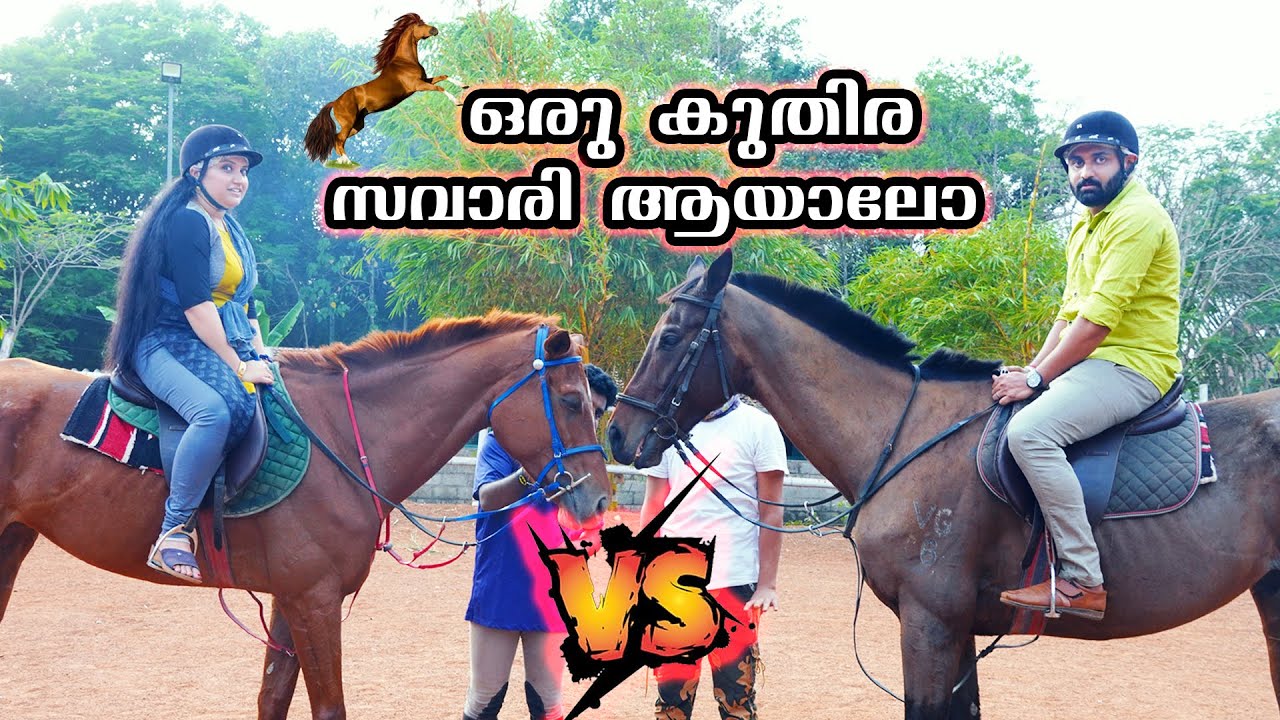 അമൃതക്കൊരു കുതിരയെ വാങ്ങി | Horse Ride Malayalam Vlog | amritha prashanth