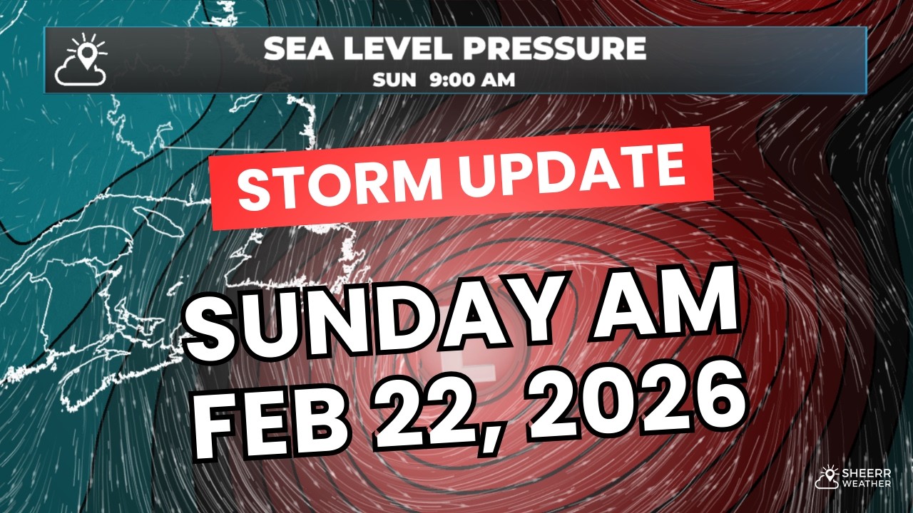 NL Winter Storm Update | Sunday Morning - Feb 22, 2026 - 9:40 AM