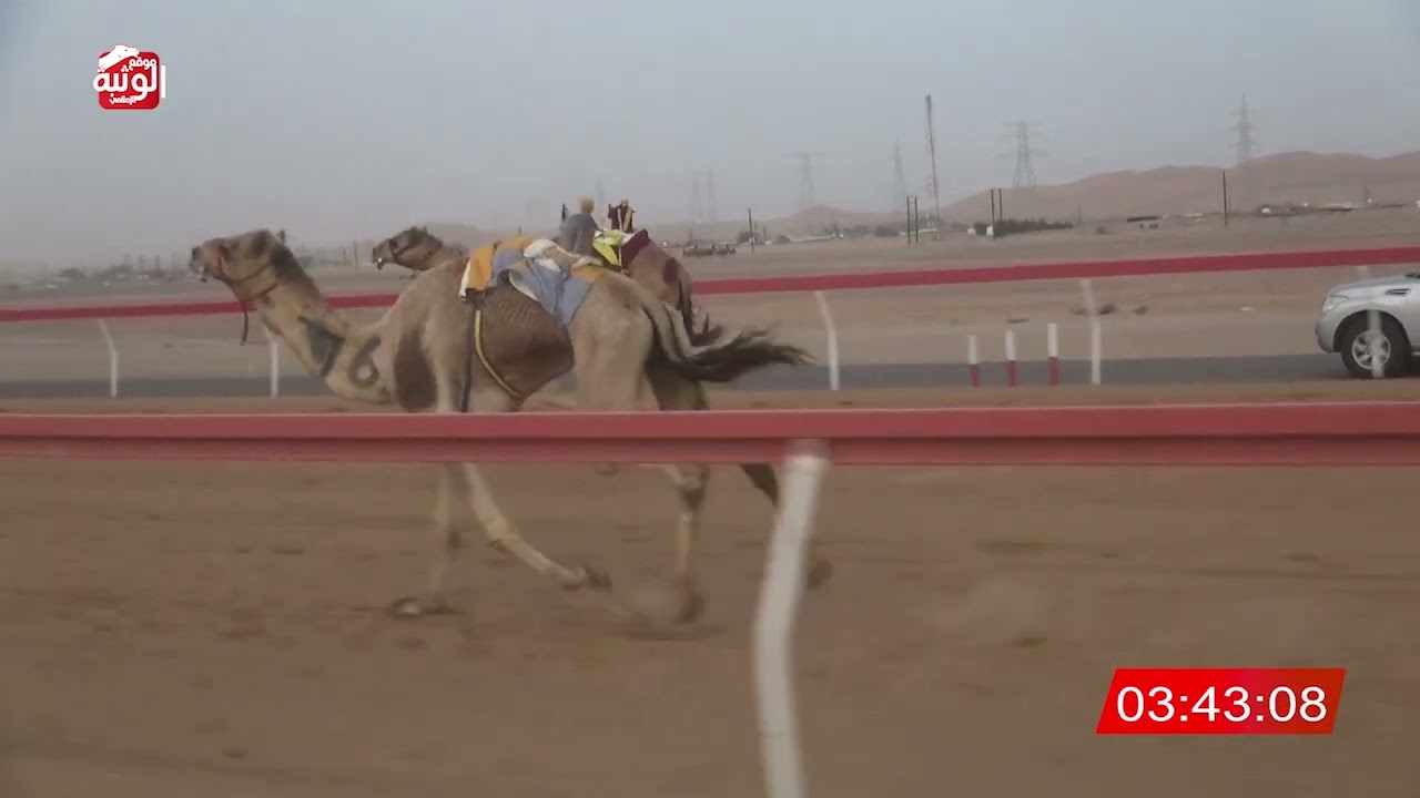 ش 3 (طوفان) لـ نايل راشد بن سيف النايلي الشامسي 9:31 ، شارة الديوان 2026/1/25 حول وزمول الروضة