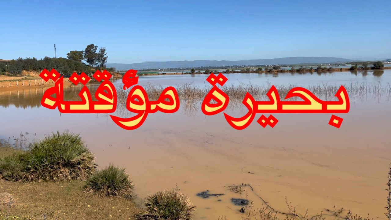 شاهد اليوم أبرز البحيرات في المناطق عين نعبد الرطبة بطريق العرائش و القصر الكبير