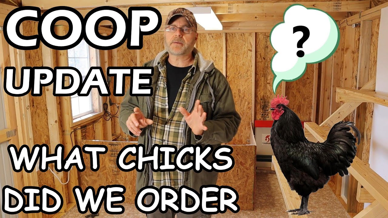 Chicken Coop is ready for the new chicks | What breed did we order