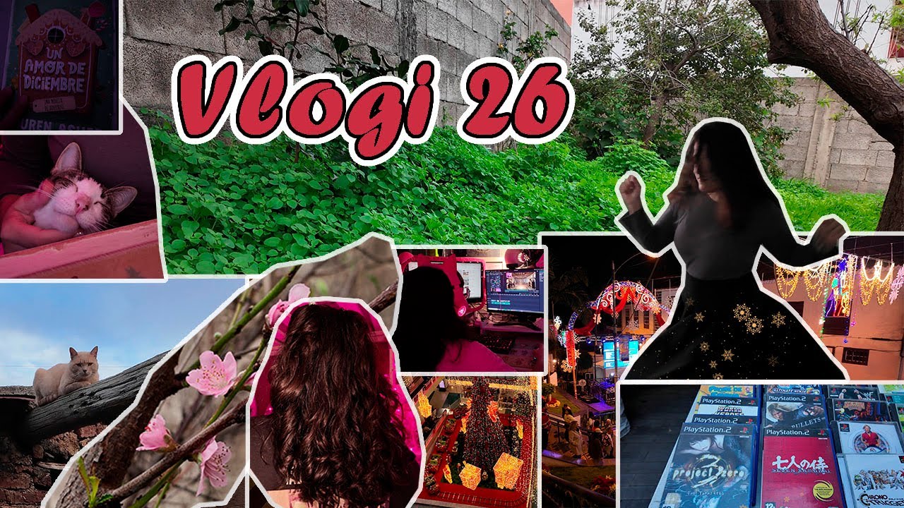 Vlogi 26- Feria Retro, Árbol del Atún y Vida Navideña!