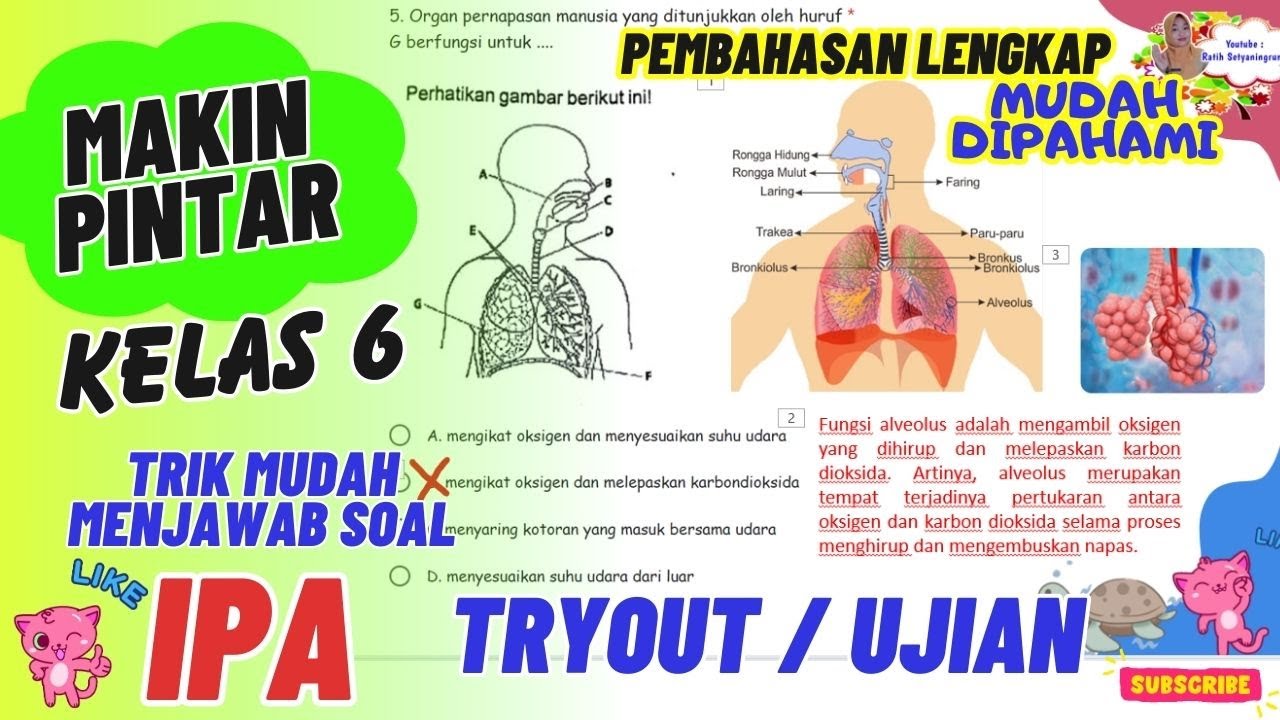 PEMBAHASAN LENGKAP SOAL TRYOUT IPA KELAS 6 || SANGAT MUDAH DIPAHAMI