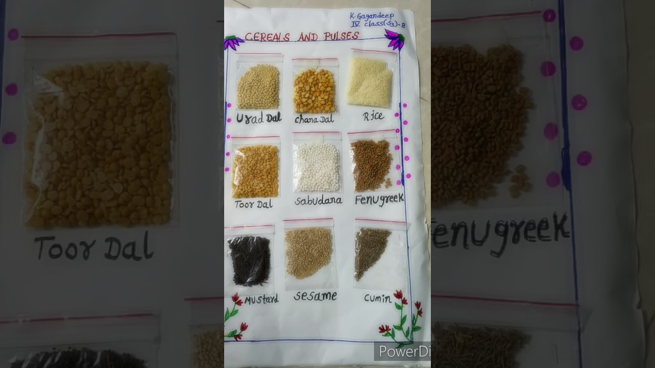 pulses project short#viralshorts