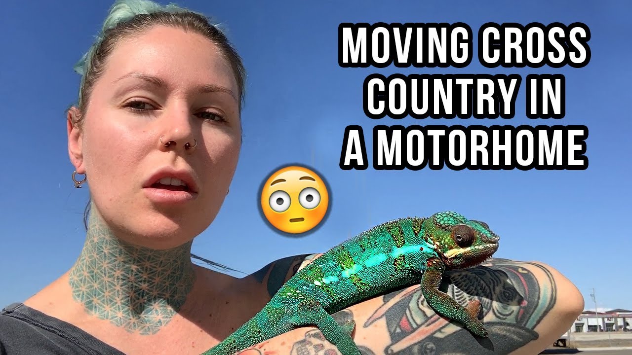 ПЕРЕЕЗЖАЮ В НЭШВИЛЛ СО ВСЕМИ МОИМИ ЖИВОТНЫМИ! | Кристен Лиэнн