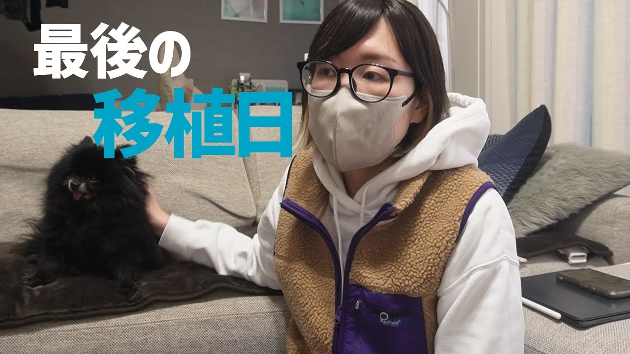 【最後の不妊治療】これで終わりと決めた移植の日。たまごちゃんをお迎え｜43歳2か月vlog