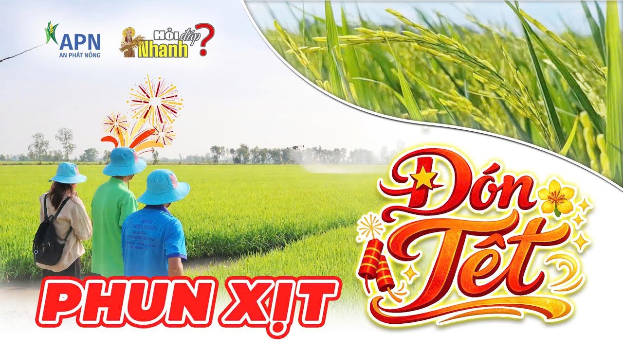 APN - LƯU Ý PHUN XỊT ĐÓN TẾT NGUYÊN ĐÁN 2026 | HỎI ĐÁP NHANH