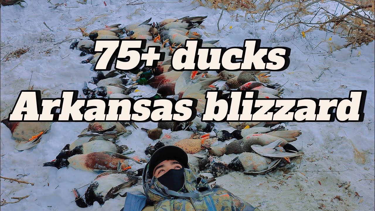 INSANE ARKANSAS BLIZZARD HUNT