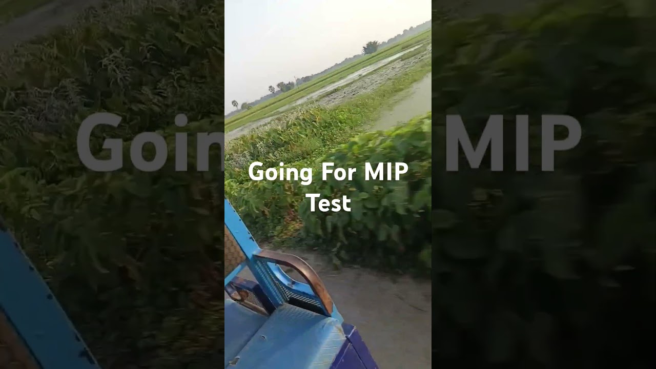 Going for PW MIP test-2 #pw #mip #pwtest #pwmiptest