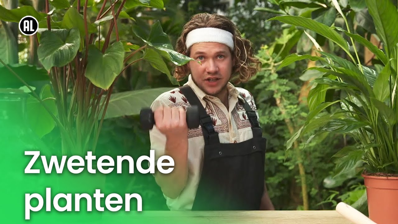 Zwetende planten | Plantastisch