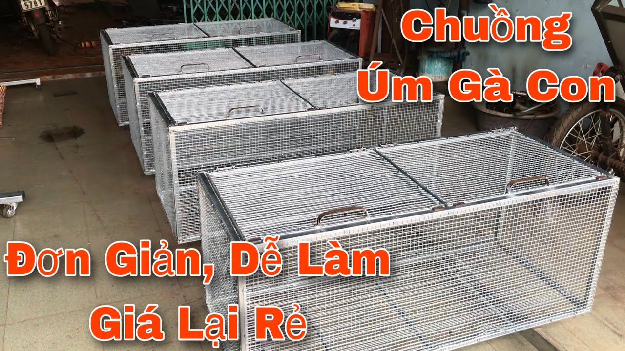 Chuồng úm gà con | Cách làm chuồng gà con đơn giản giá lại rẻ