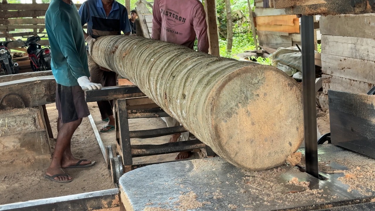 How to Overcome a 5x7 Coconut Wood That Is Difficult to Saw?