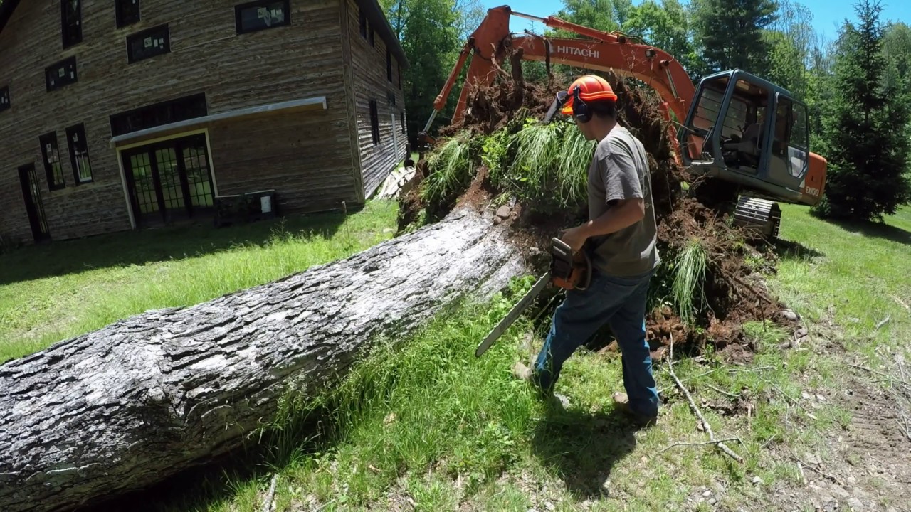 pushing down trees