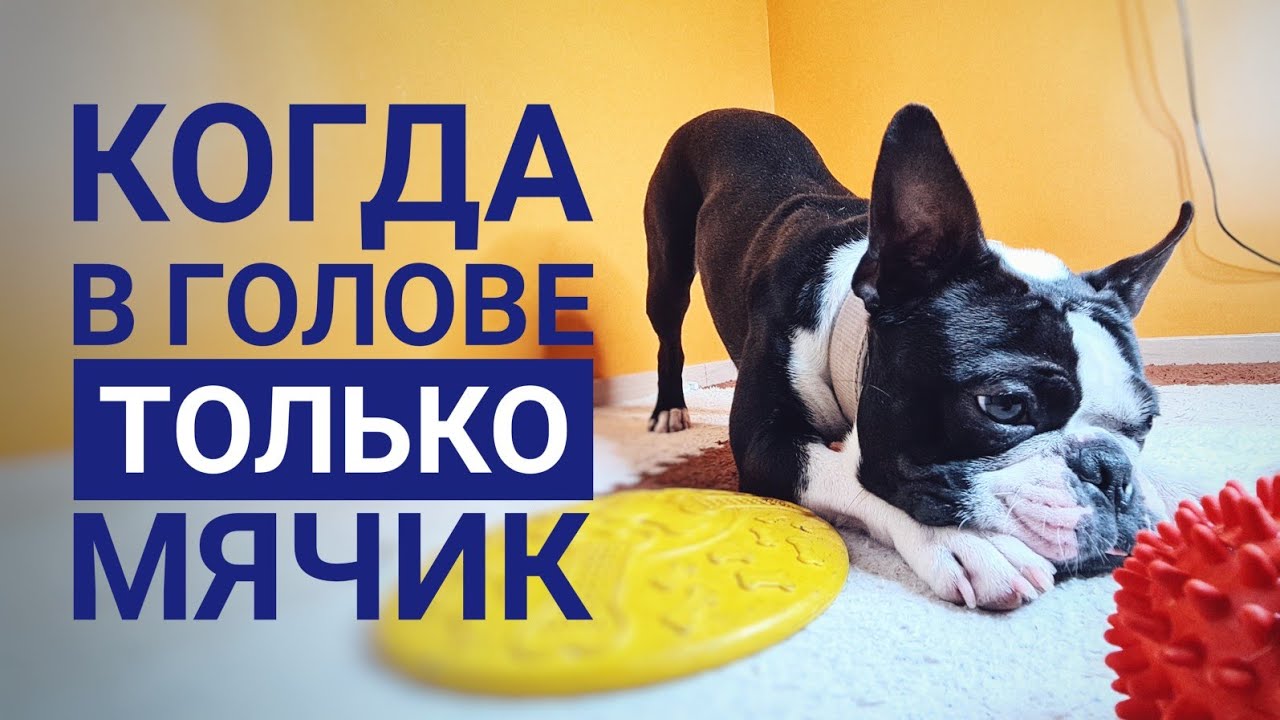 Поднос  предмета по названию/ выборка предметов/ учимся контролировать эмоции